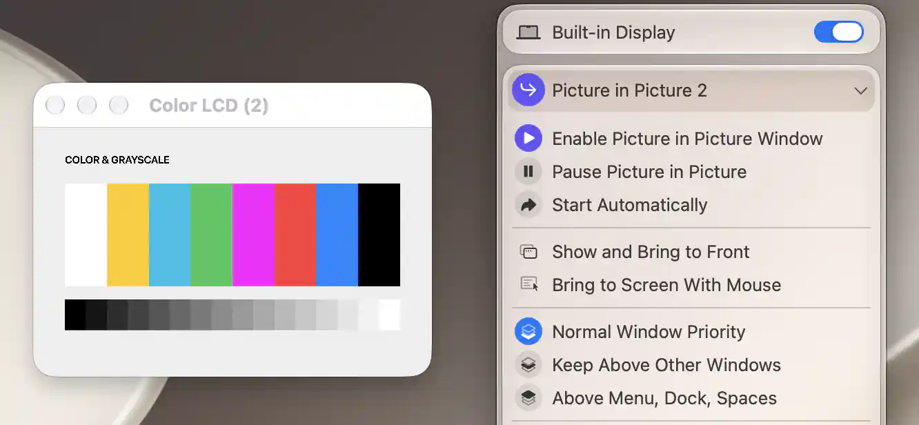 Built-in Display Picture in Picture 2 menu with the active titled Color LCD 2 window showing a live neutral color and grayscale pattern