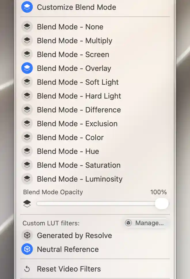 Overlay blend mode selected at 100 percent opacity, with two custom LUT entries, Manage and Reset Video Filters.
