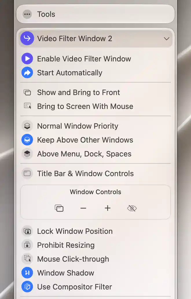 Active Video Filter Window with Start Automatically and Use Compositor Filter enabled
