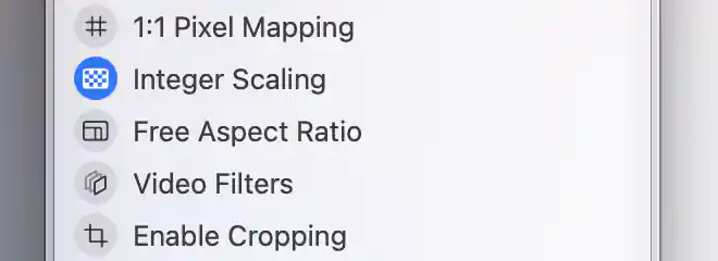 The virtual stream has Integer Scaling on, with 1:1 Pixel Mapping, Free Aspect Ratio, Video Filters and cropping off.