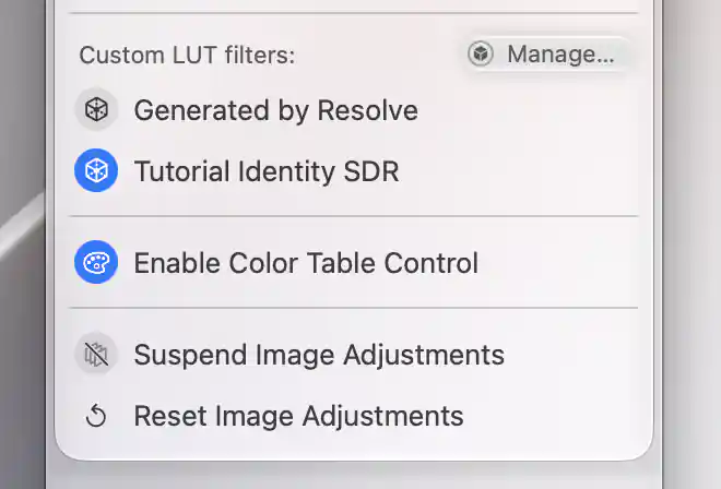 The neutral Tutorial Identity SDR LUT selected in the display’s Image Adjustments menu.