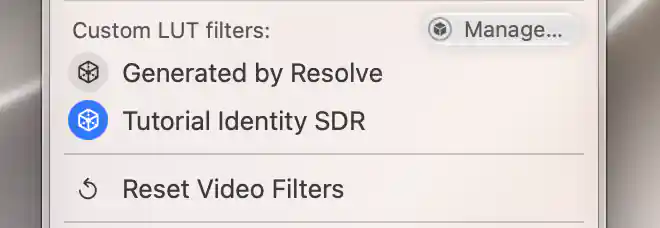 The neutral Tutorial Identity SDR LUT selected in the additional PIP’s Video Filters menu.