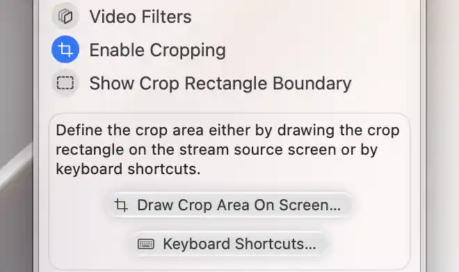 Source display’s numbered PIP menu with cropping enabled, boundary outline off and Draw Crop Area On Screen available.
