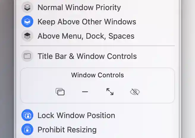 The virtual desktop PIP is kept above other windows, with its title bar off and its position and resizing locked.